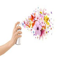 Air Freshner